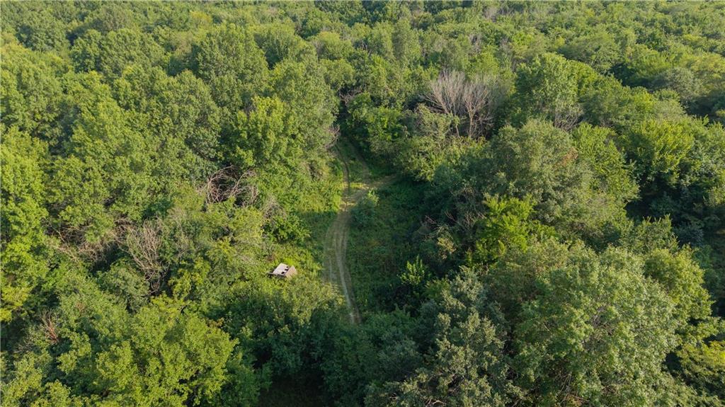 Tbd Southeast 671st Road Warrensburg, MO 64093 - Photo 6 of 24 Gallery Image 6