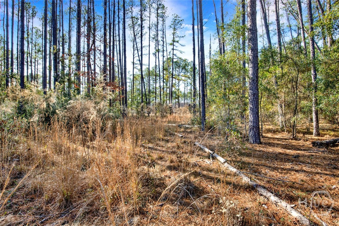 112 Dixie Drive Springfield, GA 31329 - Photo 11 of 15