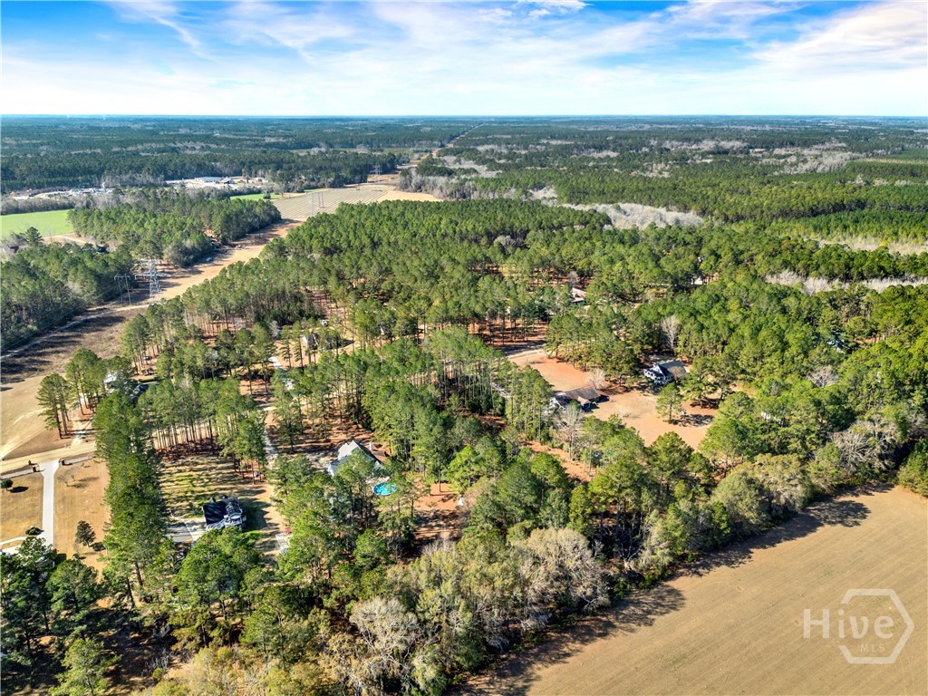 112 Dixie Drive Springfield, GA 31329 - Photo 13 of 15