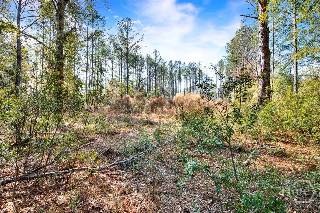 112 Dixie Drive Springfield, GA 31329 - Photo 3 of 15