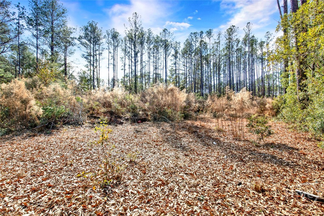 112 Dixie Drive Springfield, GA 31329 - Photo 4 of 15