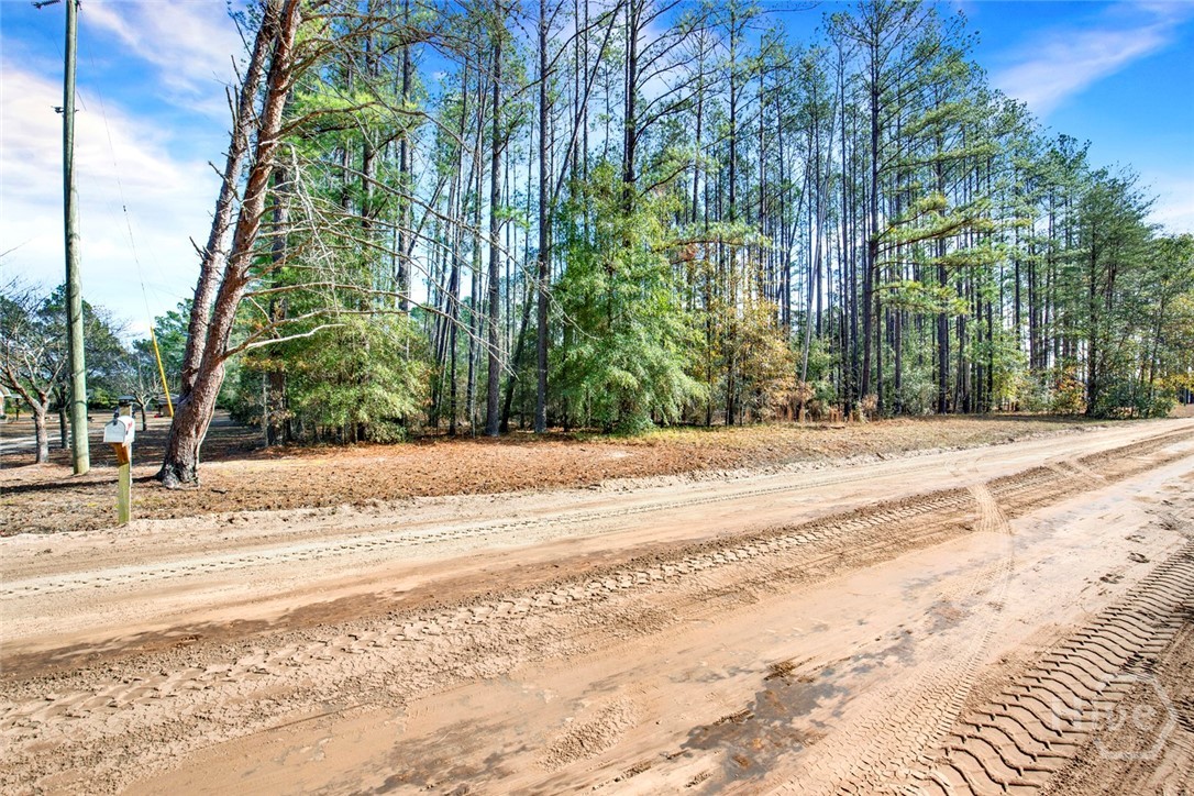 112 Dixie Drive Springfield, GA 31329 - Photo 6 of 15