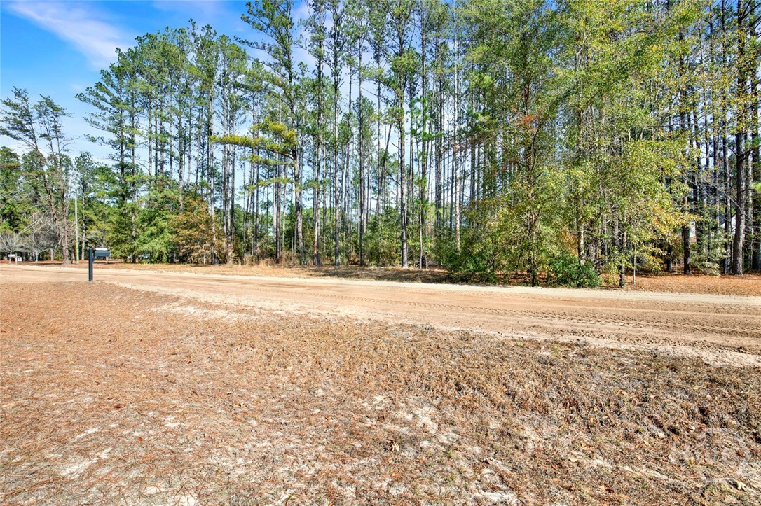 112 Dixie Drive Springfield, GA 31329 - Photo 7 of 15