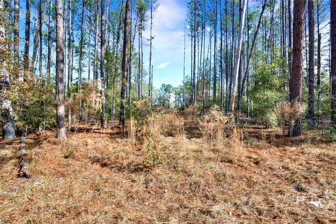 112 Dixie Drive Springfield, GA 31329 - Photo 8 of 15