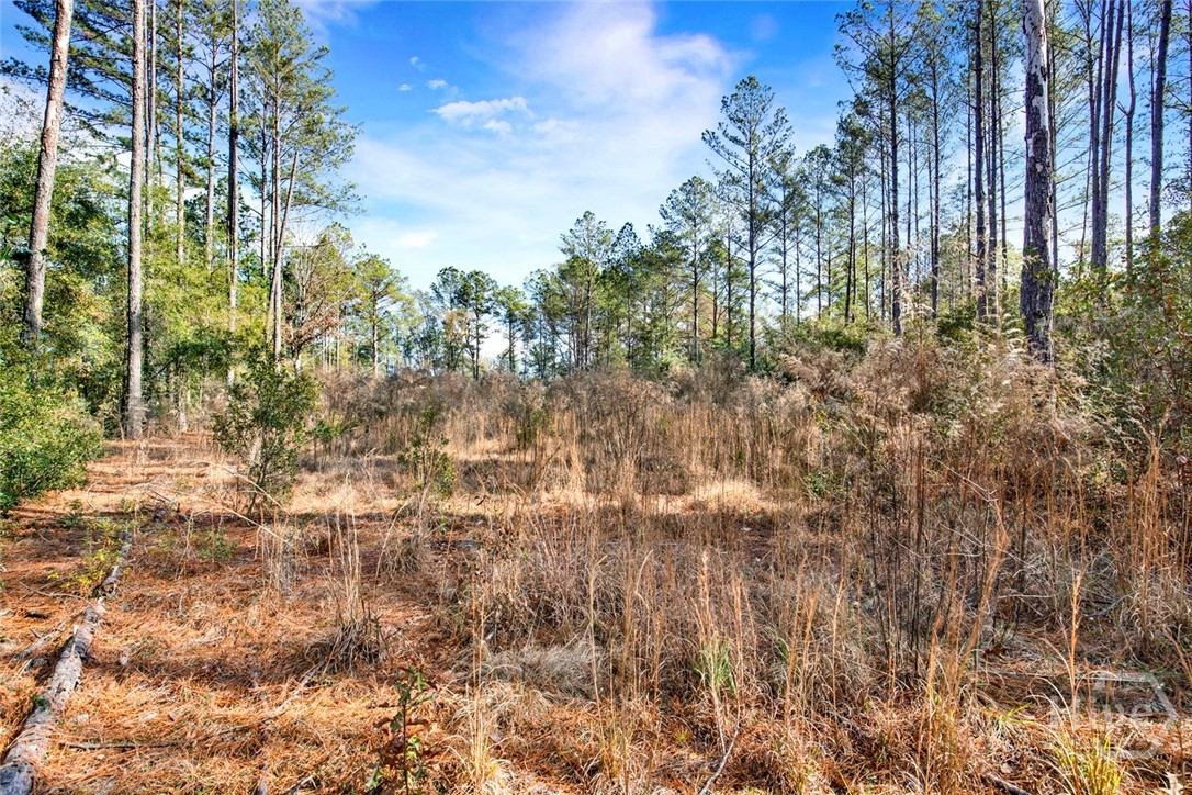 112 Dixie Drive Springfield, GA 31329 - Photo 9 of 15