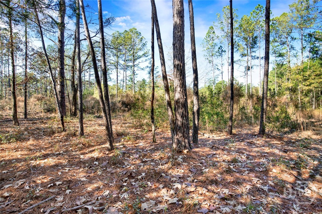 112 Dixie Drive Springfield, GA 31329 - Photo 10 of 15