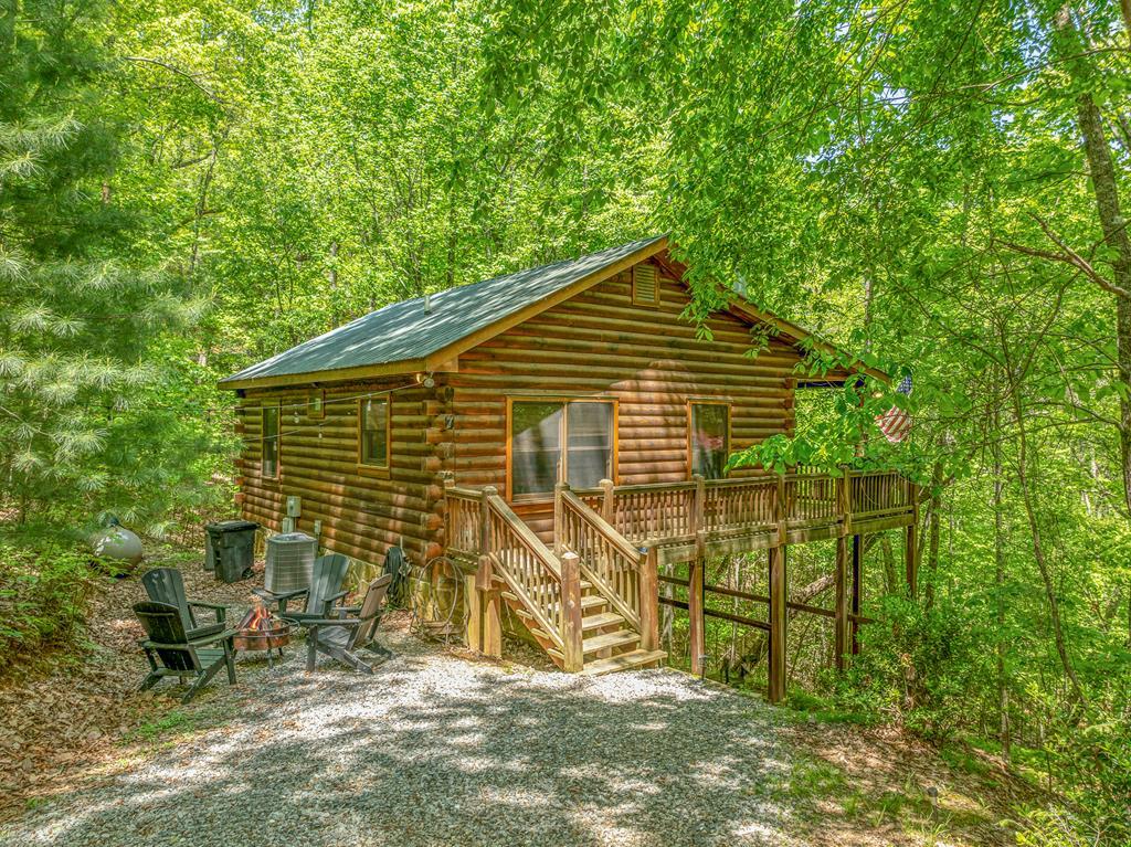7 Ascherman Court Blue Ridge, GA 30513 - Photo 2 of 41 Gallery Image 2