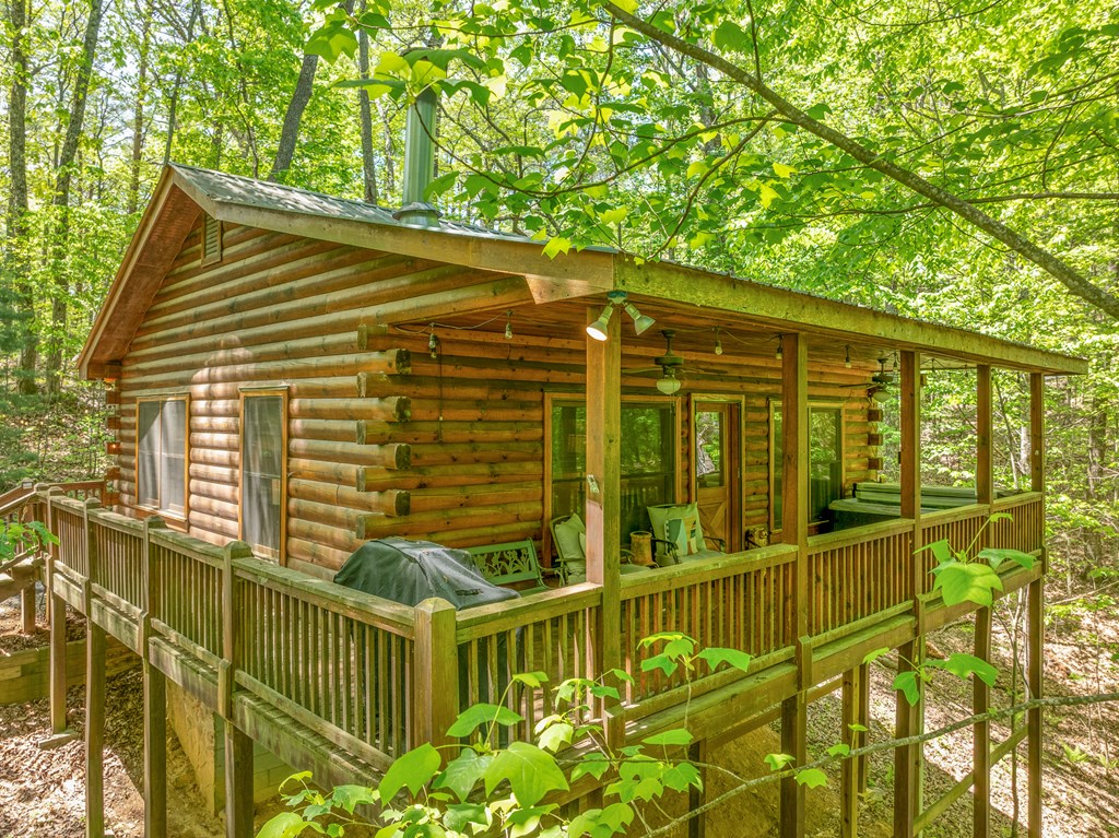 7 Ascherman Court Blue Ridge, GA 30513 - Photo 36 of 41 Gallery Image 36