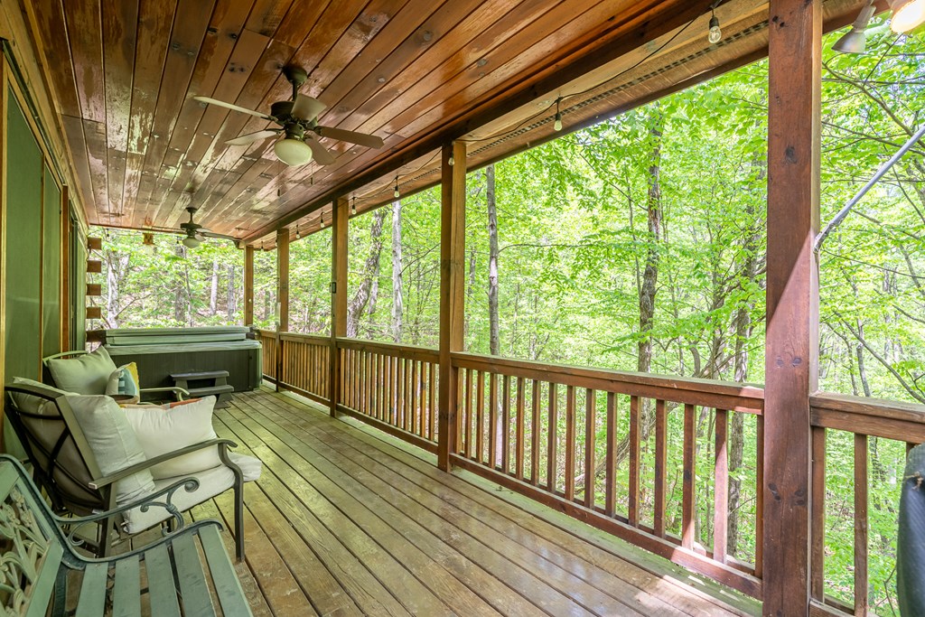 7 Ascherman Court Blue Ridge, GA 30513 - Photo 39 of 41 Gallery Image 39