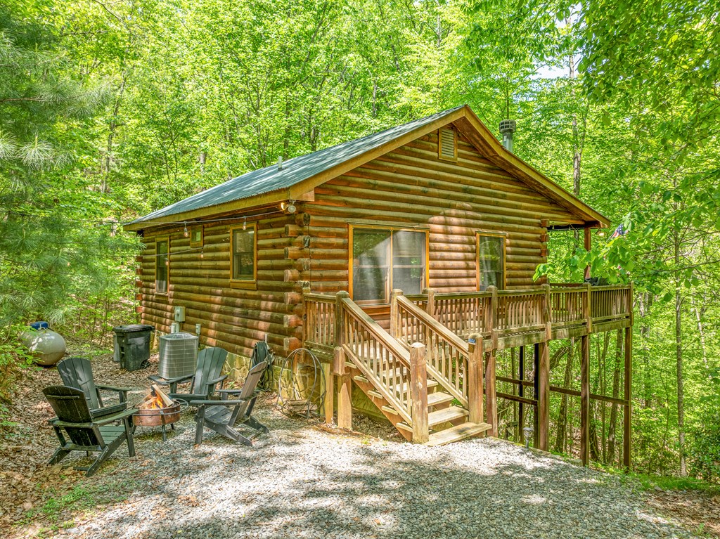 7 Ascherman Court Blue Ridge, GA 30513 - Photo 41 of 41 Gallery Image 41