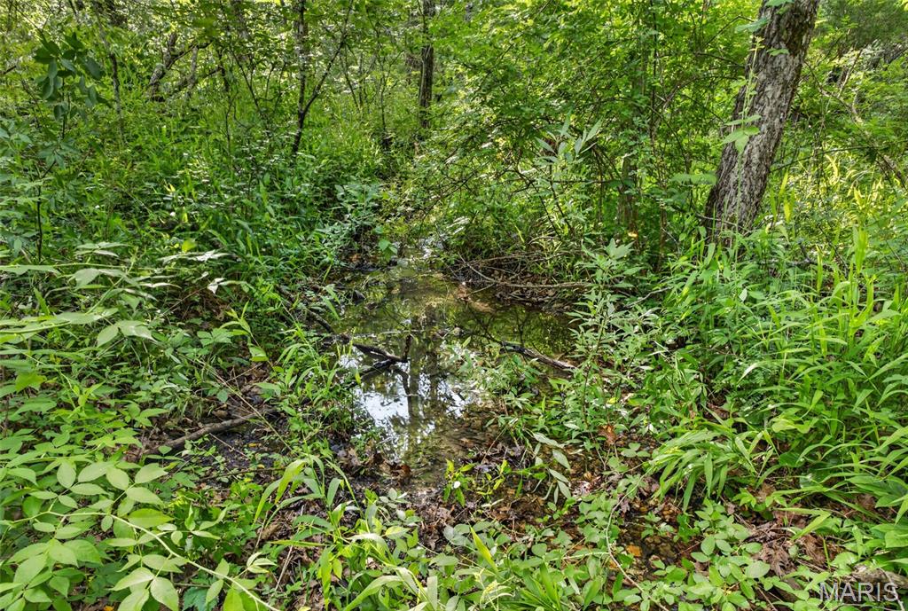 5 Cantrell Road Mansfield, MO 65704 - Photo 7 of 16