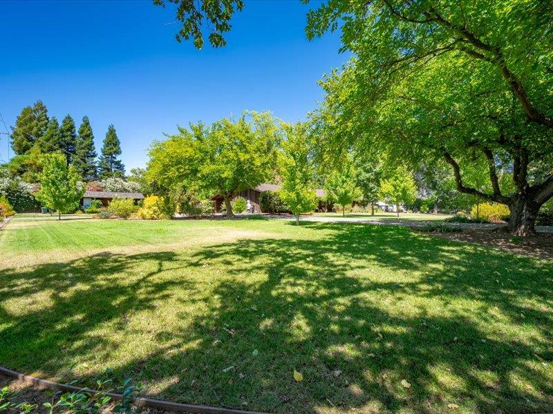1340 Carter Road Sacramento, CA 95864 - Photo 6 of 82
