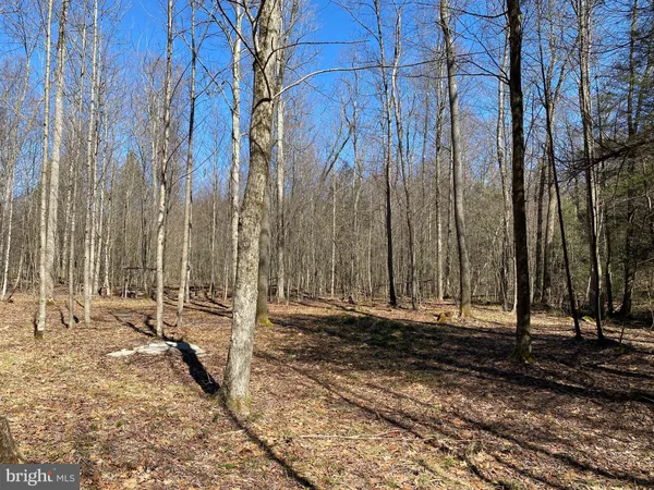 $218,500 | 53 Riverstone Landing, Unit 121, Bruceton Mills, WV 26525