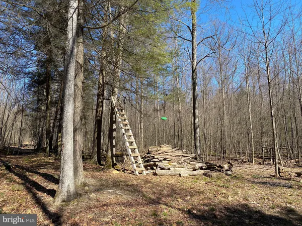 $218,500 | 53 Riverstone Landing, Unit 121, Bruceton Mills, WV 26525
