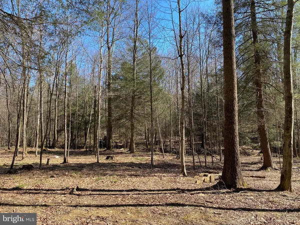 $218,500 | 53 Riverstone Landing, Unit 121, Bruceton Mills, WV 26525