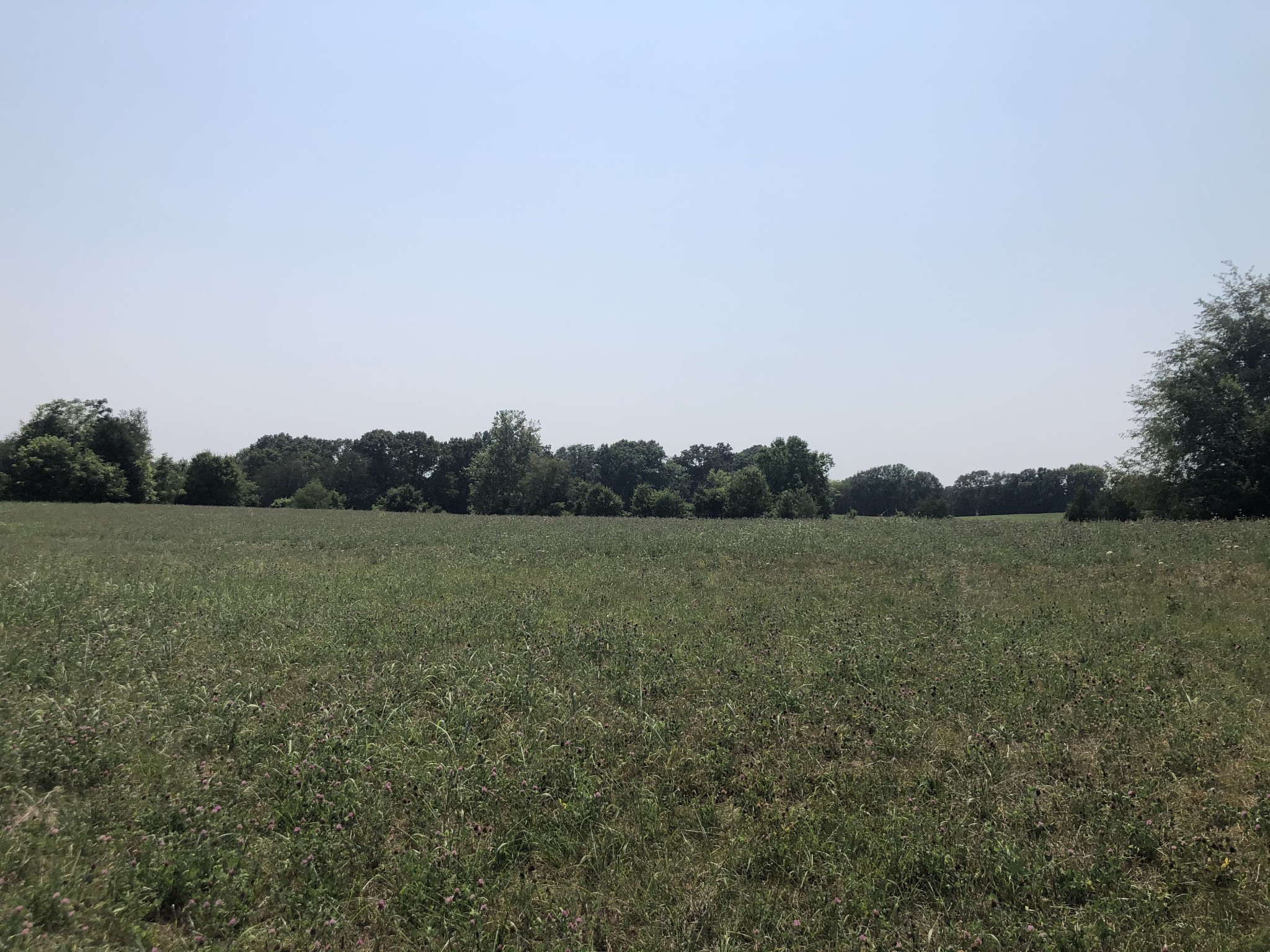 885 Mt Vernon Road Bethpage, TN 37022 - Photo 1 of 1 a view of lake with mountain in the back