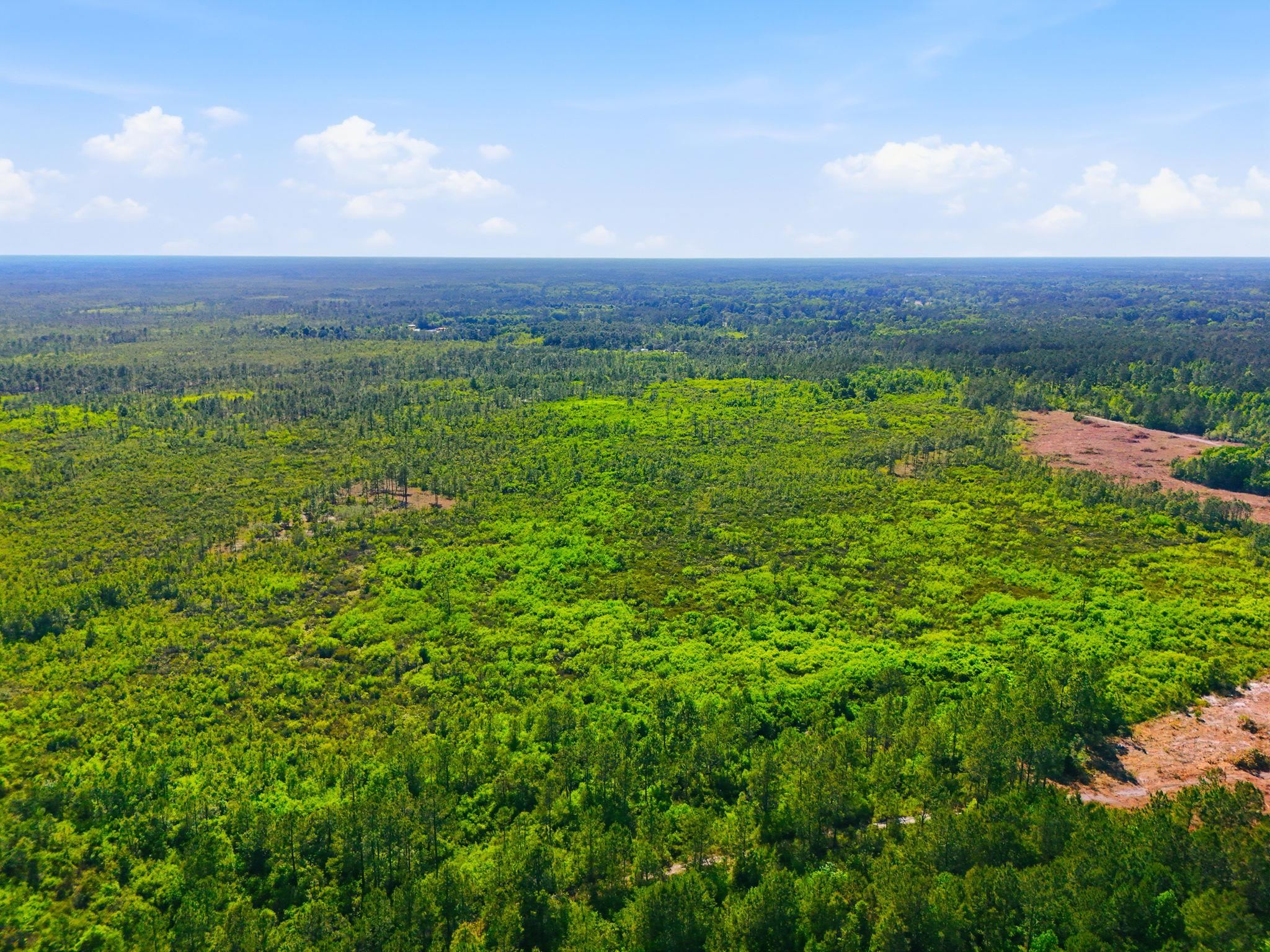 Tbd Water Tower Road Longs, SC 29568 - Photo 9 of 21