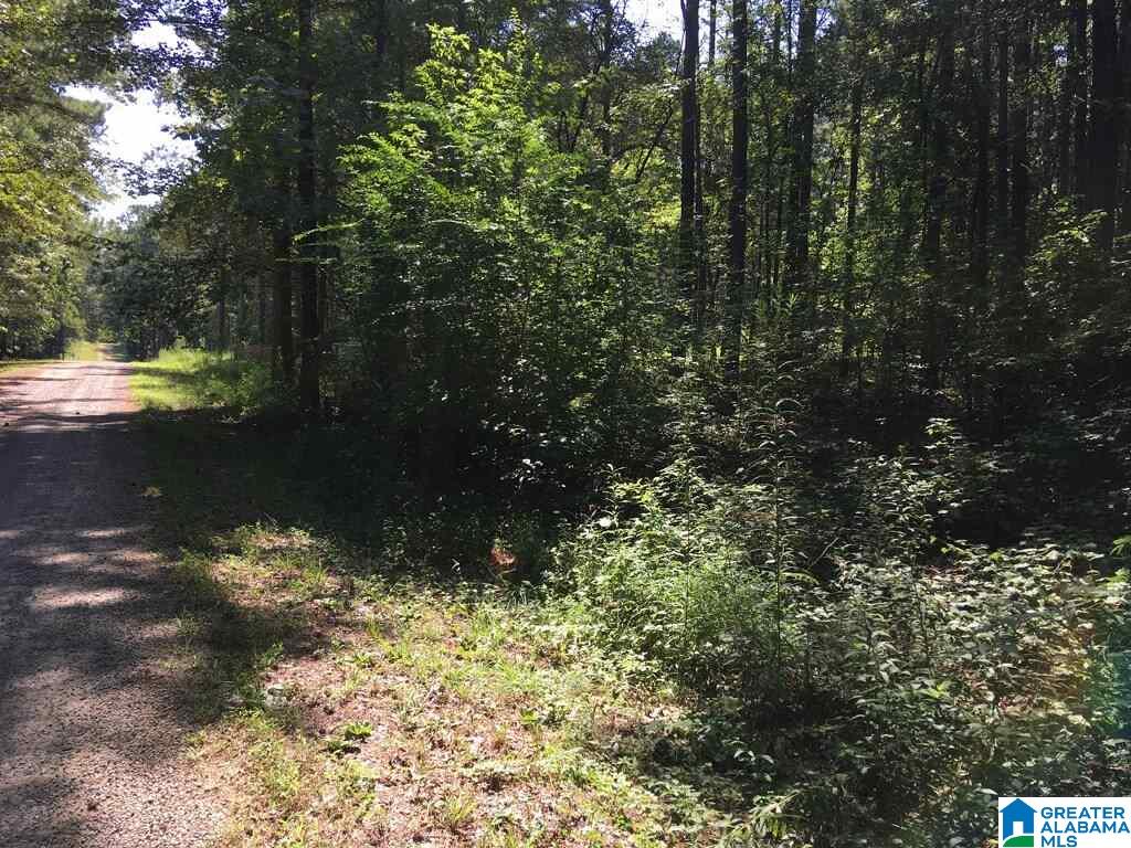 0 Stratford Road, Unit 139 &138 Talladega, AL 35160 - Photo 1 of 2