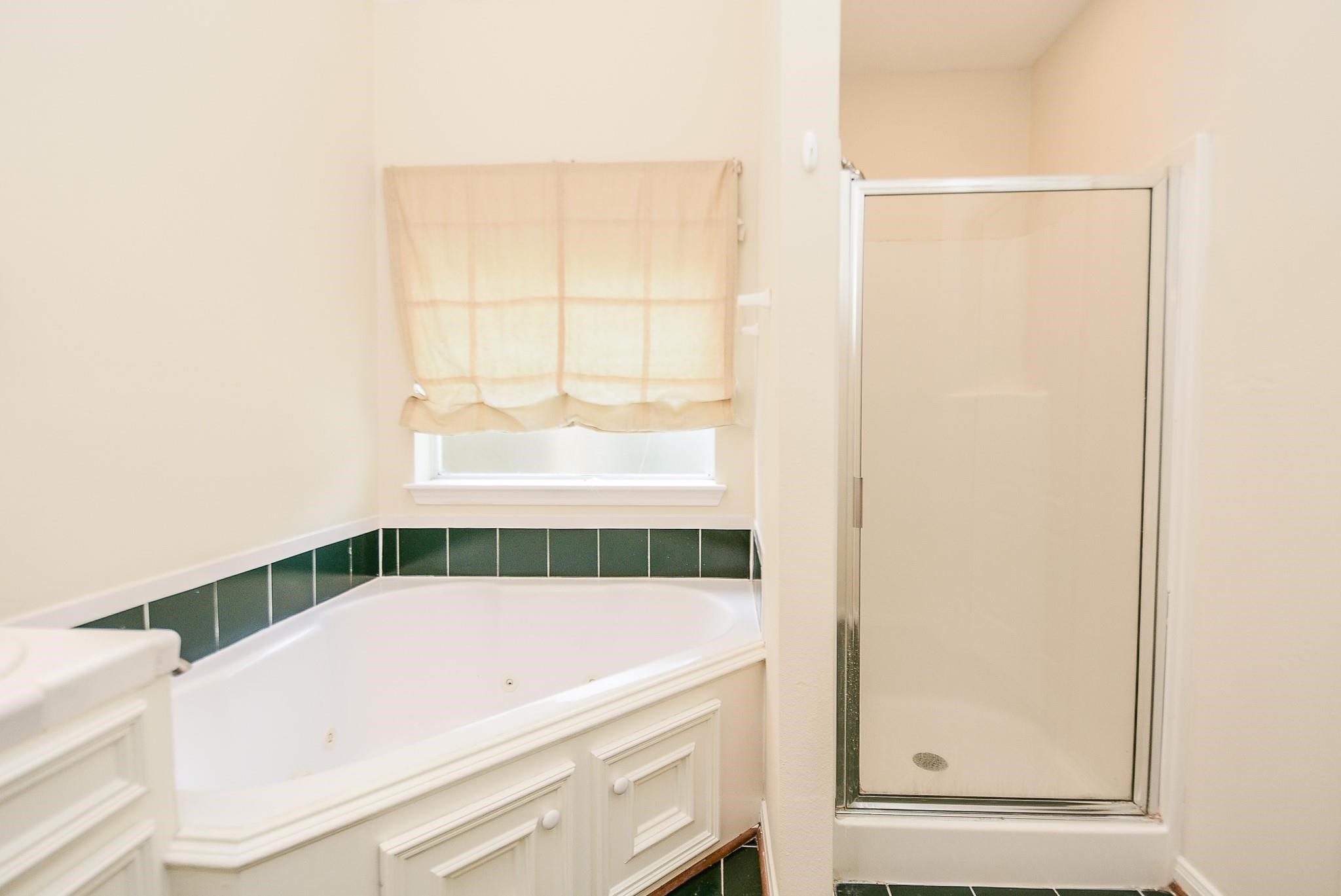 21807 Windsor Castle Drive Spring, TX 77388 - Photo 17 of 32