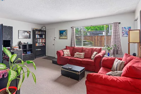 a living room with furniture a lamp and a potted plant