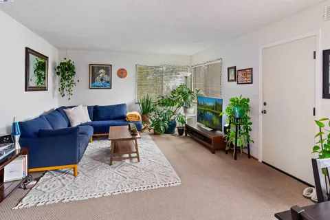 a living room with furniture and a potted plant