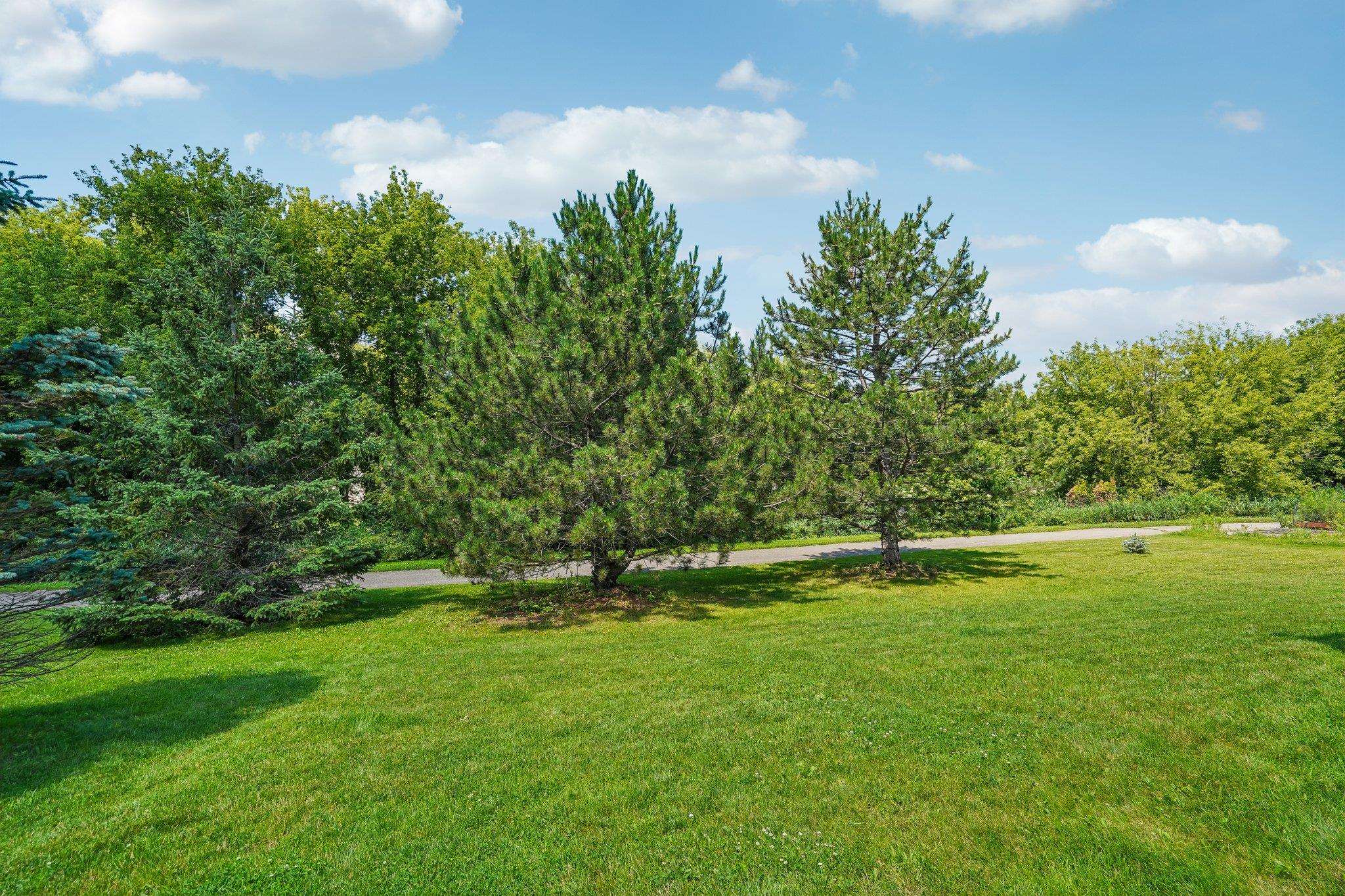 4450 Snowy Ridge Trail Windsor, WI 53598 - Photo 23 of 46