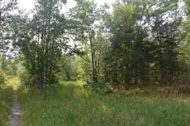 $352,000 | 15690 330th Street, McGregor, MN 55760
