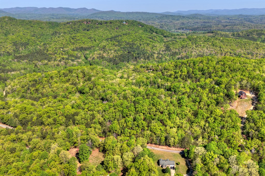 769 Voylestown Road Morganton, GA 30560 - Photo 63 of 67