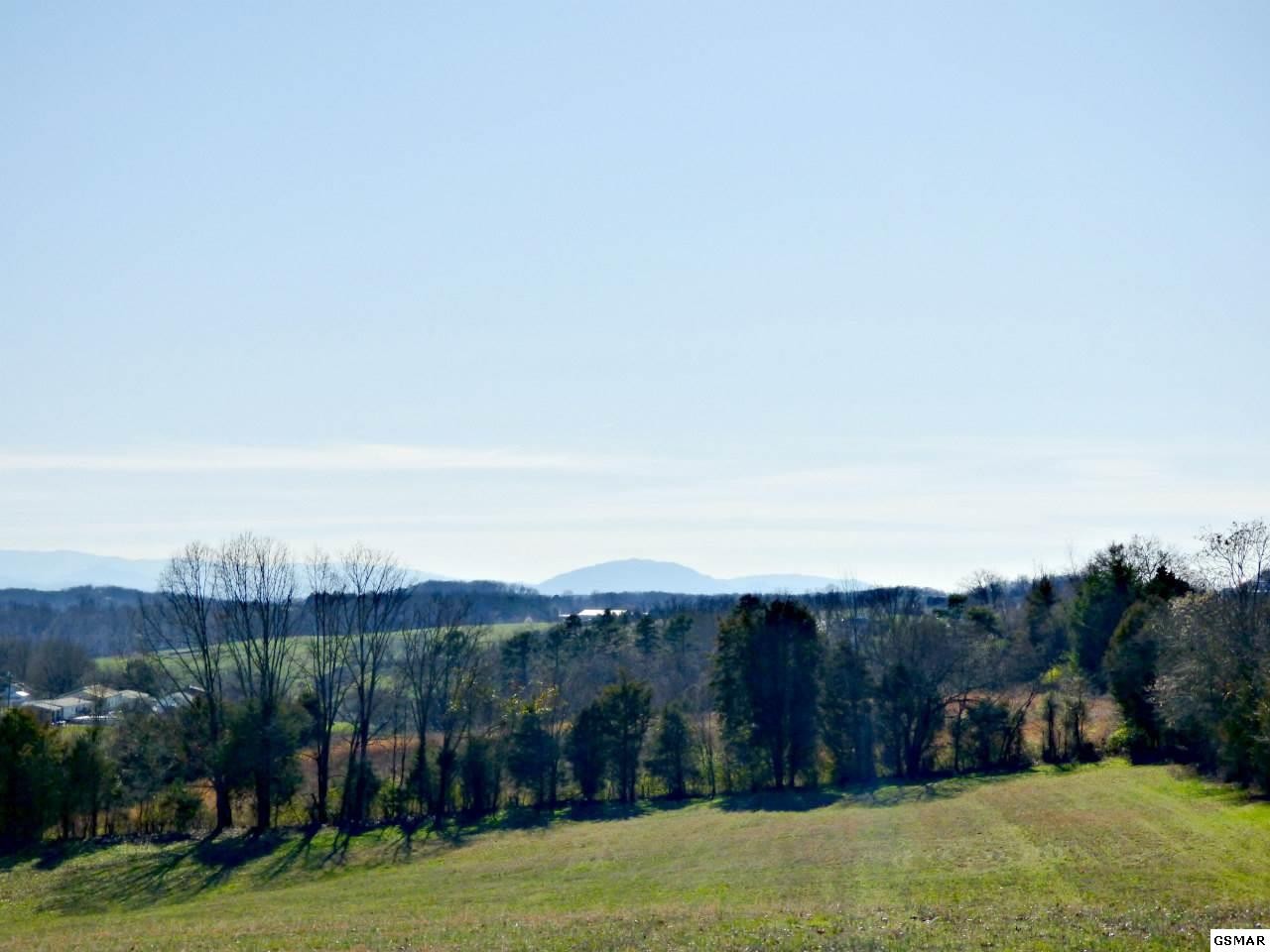 4 Valley Home Road Dandridge, TN 37725 - Photo 2 of 30 Gallery Image 2