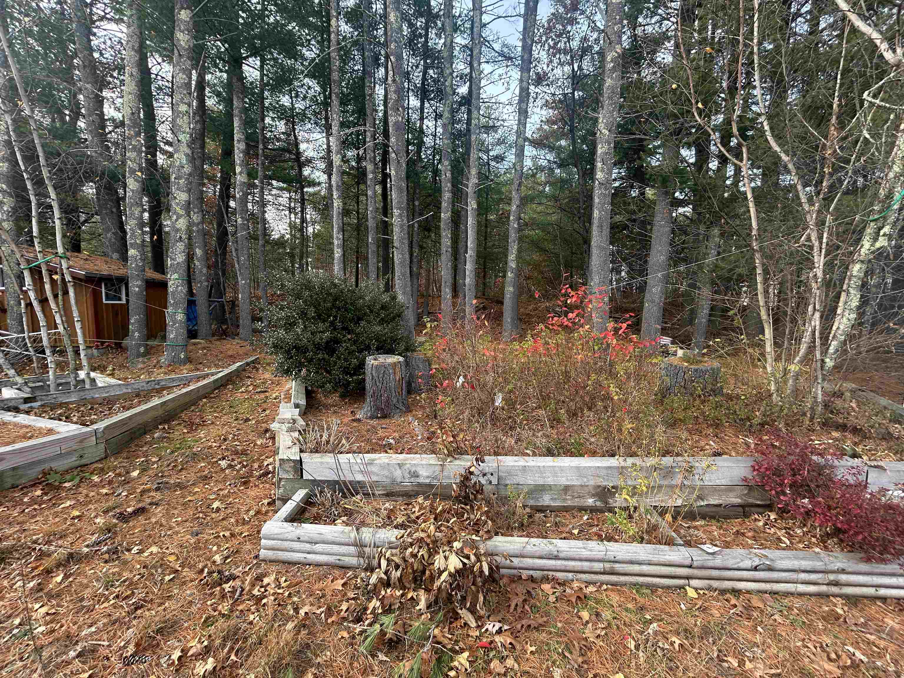 17 Lynn Lane Rochester, NH 03867 - Photo 22 of 24