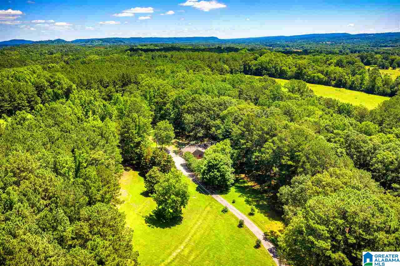 225 County Road 33 Oneonta, AL 35121 - Photo 33 of 41