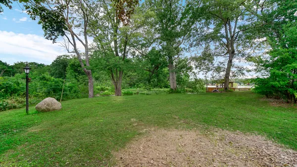 a view of a field with plants and trees