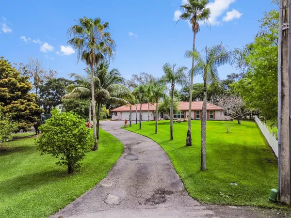 a view of a park with a palm tree