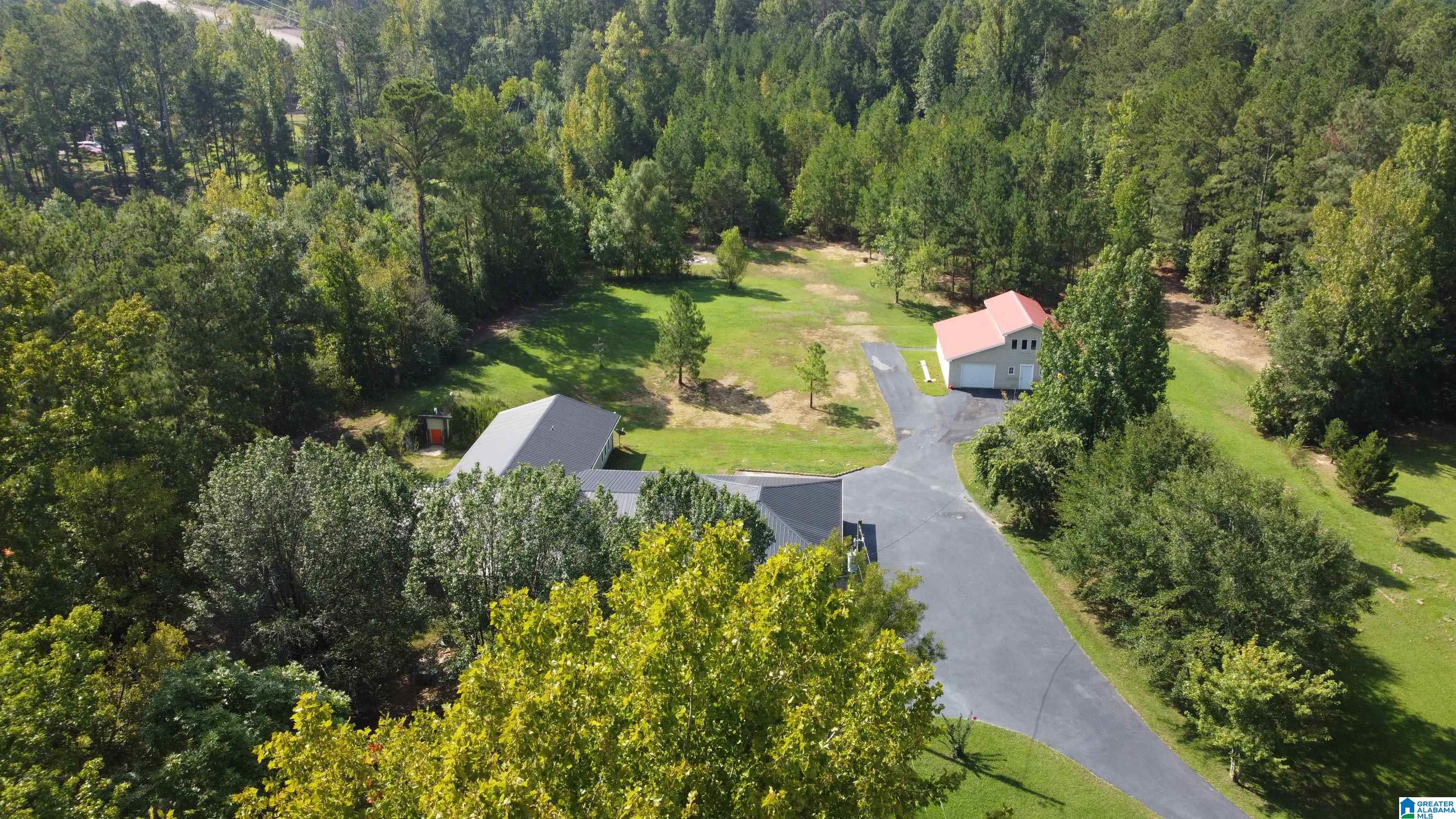 3304 Possum Trot Road Piedmont, AL 36272 - Photo 34 of 60