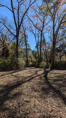 $149,900 | 0 Mossy Oak Trail, Unit LOT 2 OF A 3 LOT 2 1 9 SU, Tallahassee, FL 32317