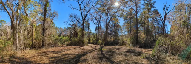 $149,900 | 0 Mossy Oak Trail, Unit LOT 2 OF A 3 LOT 2 1 9 SU, Tallahassee, FL 32317