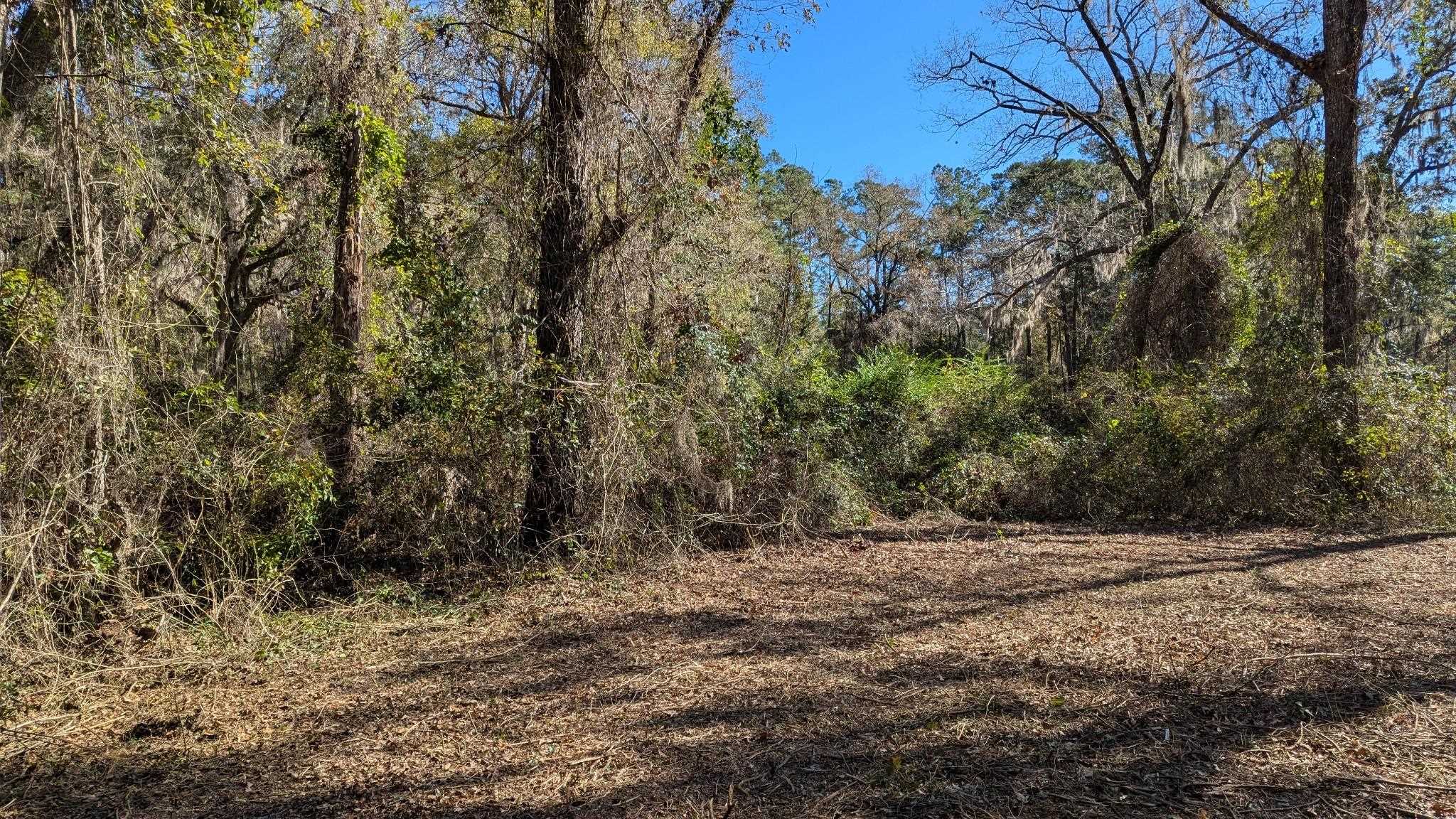 0 Mossy Oak Trail, Unit LOT 2 OF A 3 LOT 2 1 9 SU Tallahassee, FL 32317 - Photo 3 of 10