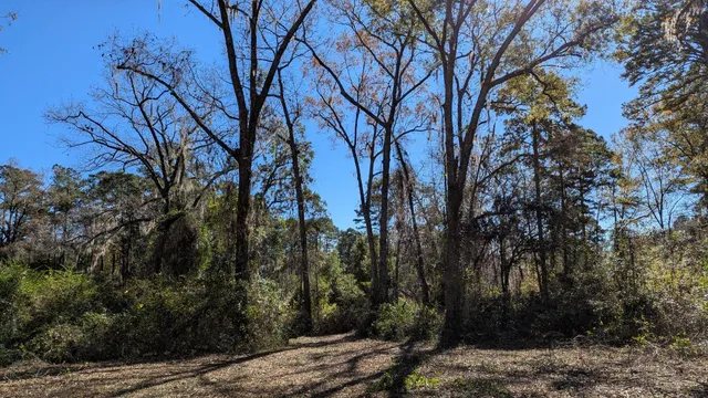 $149,900 | 0 Mossy Oak Trail, Unit LOT 2 OF A 3 LOT 2 1 9 SU, Tallahassee, FL 32317