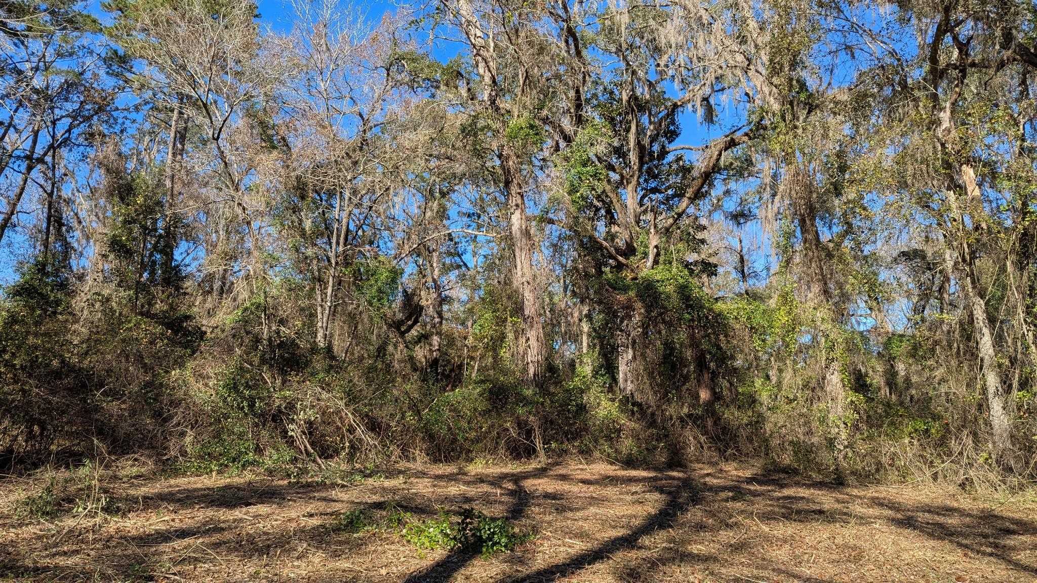 0 Mossy Oak Trail, Unit LOT 2 OF A 3 LOT 2 1 9 SU Tallahassee, FL 32317 - Photo 5 of 10