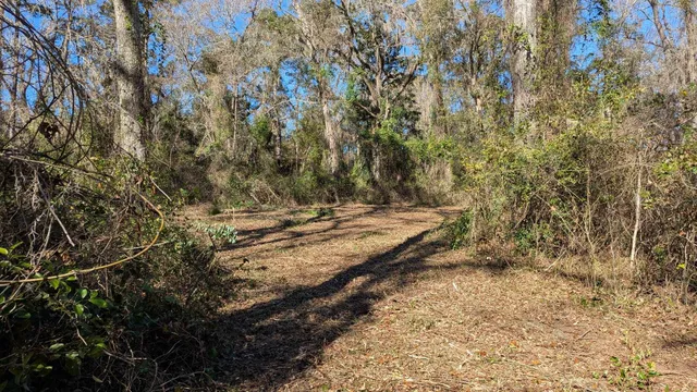 $149,900 | 0 Mossy Oak Trail, Unit LOT 2 OF A 3 LOT 2 1 9 SU, Tallahassee, FL 32317