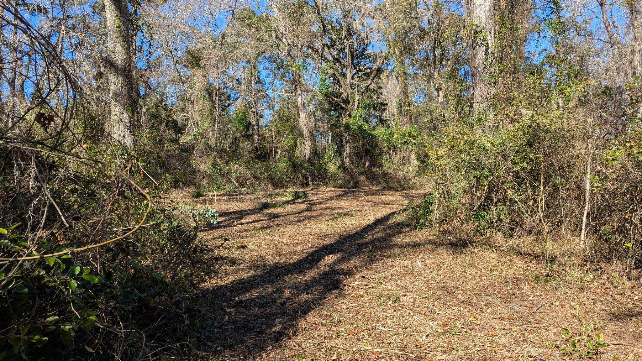 0 Mossy Oak Trail, Unit LOT 2 OF A 3 LOT 2 1 9 SU Tallahassee, FL 32317 - Photo 6 of 10