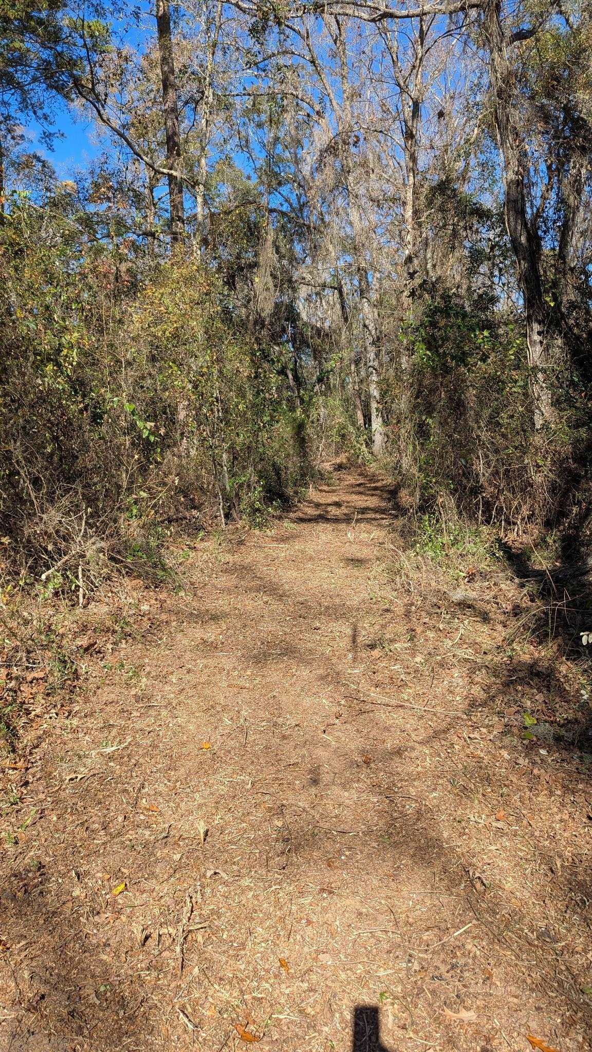 0 Mossy Oak Trail, Unit LOT 2 OF A 3 LOT 2 1 9 SU Tallahassee, FL 32317 - Photo 7 of 10