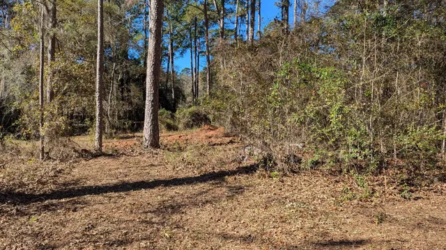 $149,900 | 0 Mossy Oak Trail, Unit LOT 2 OF A 3 LOT 2 1 9 SU, Tallahassee, FL 32317