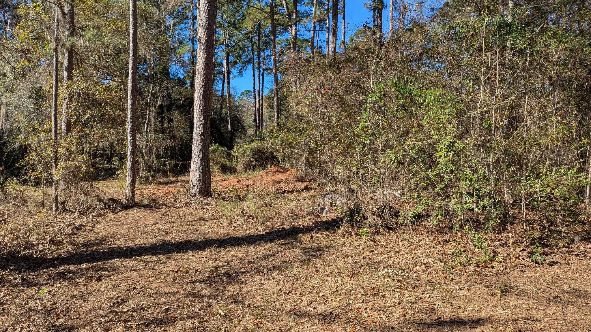 0 Mossy Oak Trail, Unit LOT 2 OF A 3 LOT 2 1 9 SU Tallahassee, FL 32317 - Photo 8 of 10