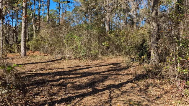 $149,900 | 0 Mossy Oak Trail, Unit LOT 2 OF A 3 LOT 2 1 9 SU, Tallahassee, FL 32317