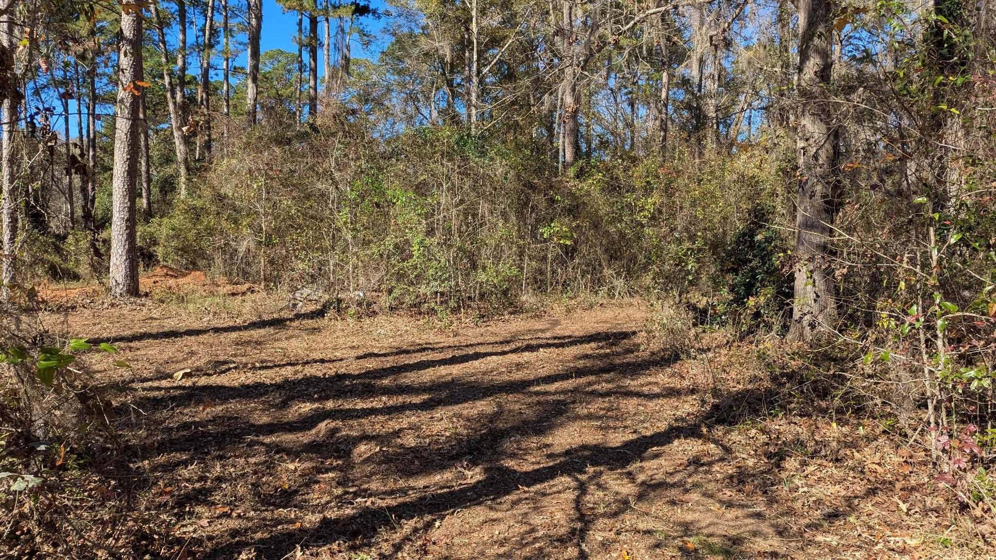 0 Mossy Oak Trail, Unit LOT 2 OF A 3 LOT 2 1 9 SU Tallahassee, FL 32317 - Photo 10 of 10