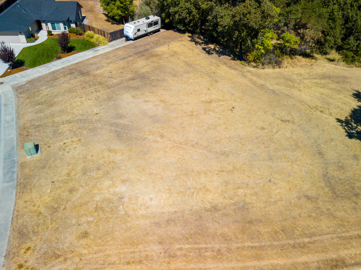 7776 Pit Road Redding, CA 96001 - Photo 4 of 24 a view of a yard with plants