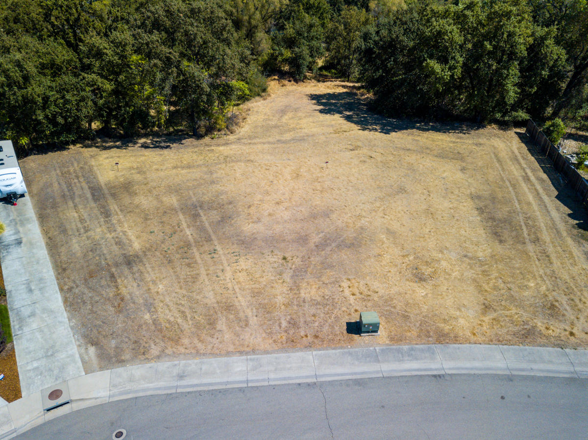 7776 Pit Road Redding, CA 96001 - Photo 5 of 24 a view of a yard with trees