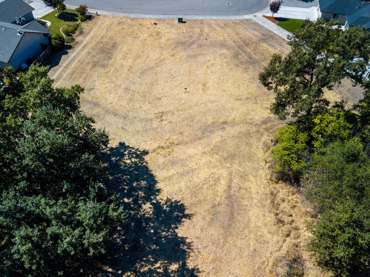 7776 Pit Road Redding, CA 96001 - Photo 10 of 24 a view of a yard with plants and flowers