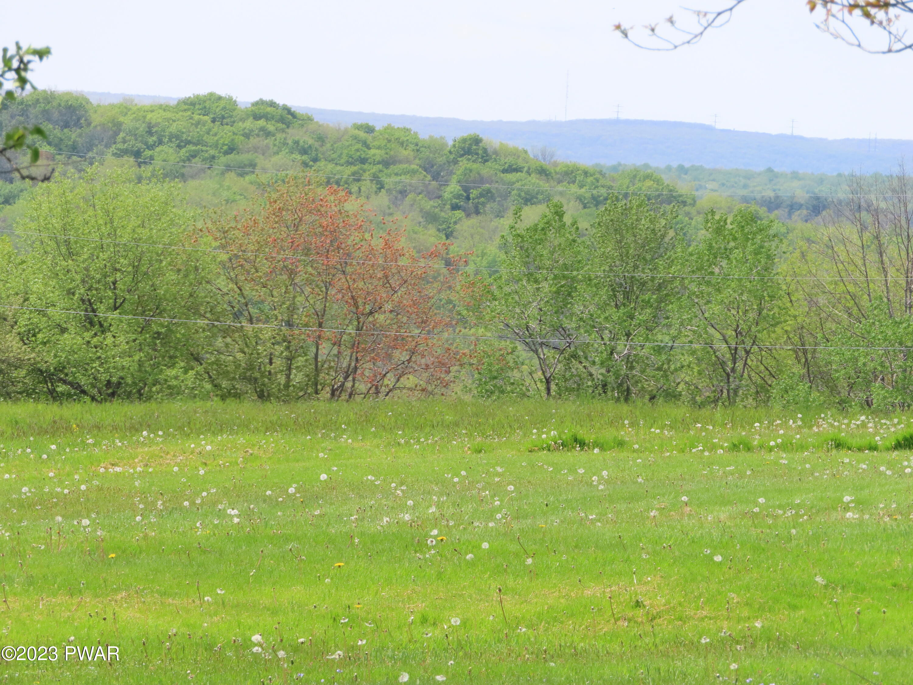Lot 1 Miller Rd Lake Lake Ariel, PA 18436 - Photo 8 of 13